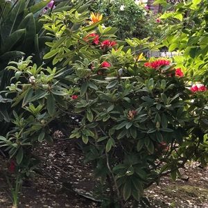 Meet your Posher, Sudha